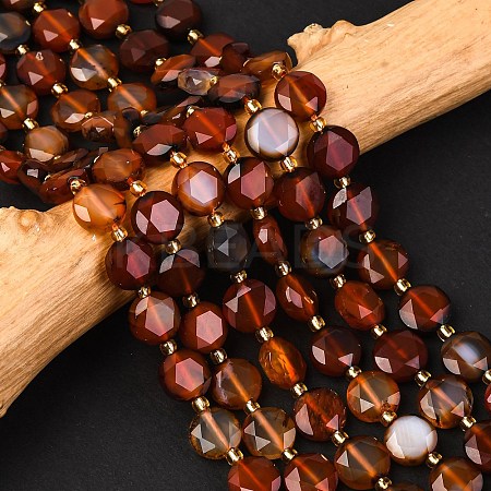 Natural Agate(Dyed & Heated) Beads Strands G-C116-A149-01-1