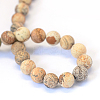 Frosted Natural Picture Jasper Round Bead Strands G-E334-12mm-26-3