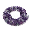 Natural Fluorite Beads Strands X-G-K315-B01-01-3