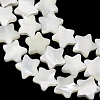 Natural Trochid Shell/Trochus Shell Beads Strands SH-CBA2978-17B-3