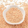 Baking Paint Glass Seed Beads SEED-S042-05B-80-2