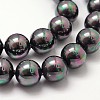 Shell Pearl Bead Strands X-BSHE-L025-05-12mm-3