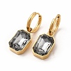Ion Plating(IP) 304 Stainless Steel Hoop Earring EJEW-C017-06G-02-5