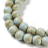 Natural Rainbow Alashan Agate Beads Strands G-NH0022-A01-01-4