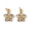 Rack Plating Brass Micro Pave Cubic Zirconia Charms KK-F848-13G-2