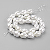 Shell Pearl Beads Strands BSHE-K010-03B-2