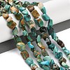 Natural Hubei Turquoise Beads Strands X-G-P497-01C-51-2