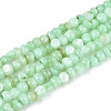 Natural Freshwater Shell Dyed Beads Strands SHEL-T020-29B-03-1
