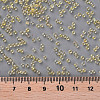 12/0 FGB Grade A Round Glass Seed Beads SEED-N001-E-302-3