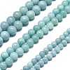 Natural Malaysia Jade Beads Strands G-L645-A01-10mm-25-3