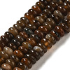 Natural Petrified Wood Beads Strands G-NH0017-D02-02-1-1