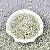 Frosted Glass Seed Beads SEED-N012-01E-2