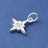 S925 Sterling Silver Micro Pave Cubic Zirconia Pendant STER-H115-02B-S-2
