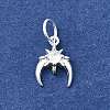 925 Sterling Silver Micro Pave Cubic Zirconia Charms STER-D309-01A-S-2