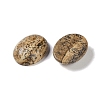 Natural Picture Jasper Cabochons G-B080-01A-11-2