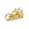 Brass Micro Pave Cubic Zirconia Charms ZIRC-F132-05G-3