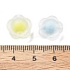 Frosted Transparent Acrylic Beads OACR-A032-16-3