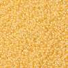 MIYUKI Round Rocailles Beads SEED-G008-RR0202-3