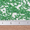 MIYUKI Delica Beads X-SEED-J020-DB1787-4