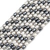 Electroplated Shell Pearl Beads Strands BSHE-H113-06B-02-1