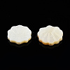 Natural Freshwater Shell Beads X-SHEL-T007-02-5