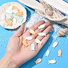10Pcs Natural Shell Pendants SHEL-YW0001-12-5