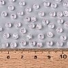 FGB Grade A Transparent Glass Seed Beads SEED-Q040-03A-04-6