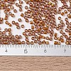 MIYUKI Delica Beads X-SEED-J020-DB1779-4