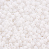 8/0 Opaque Glass Seed Beads X1-SEED-S048-N-019-3