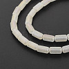 Electroplate Frosted Transparent Glass Beads Strands EGLA-T008-026-B03-4