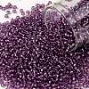 TOHO Round Seed Beads SEED-JPTR11-2219-1