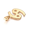 304 Stainless Steel Pendants STAS-L210-06H-G-01-2