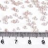 6/0 Glass Seed Beads X-SEED-A015-4mm-2221-4