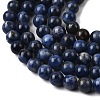 Natural Sodalite Beads Strands G-P582-8mm-02-4