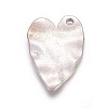 Tibetan Style Alloy Pendants TIBEP-A20287-AS-FF-2
