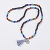 Natural Gemstone Beads Necklaces LS-NJEW-F147-A01-1
