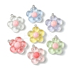 Translucent Resin Pendants RESI-P039-01P-1