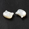 Natural White Shell Beads SHEL-G014-10B-01-4