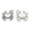 Tibetan Style Alloy Pendants LS-PALLOY-T075-186AS-1