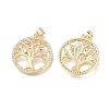 Brass Micro Pave Cubic Zirconia Pendants ZIRC-L076-043G-2