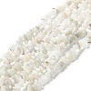 Natural Rainbow Moonstone Beads Strands X-G-A200-02-1