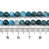 Natural Apatite Beads Strands G-F770-C02-02-5