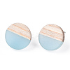 Transparent Resin & Wood Stud Earrings EJEW-N017-003A-D01-3