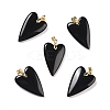 Natural Obsidian Pendants G-E570-01G-10-1