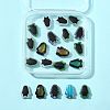 20Pcs 5 Colors Glass Beads GLAA-FS0002-52-6