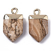 Natural Picture Jasper Pointed Pendants G-N326-34I-2