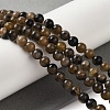 Natural Chiastolite Beads Strands G-Q161-A03-02-2