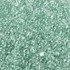 Glass Seed Beads SEED-L011-05B-14-3