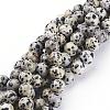 Natural Dalmatian Jasper Beads Strands GSR10mmC004-1