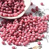 Picasso Baking Paint Glass Seed Beads SEED-A032-02A-01-1
